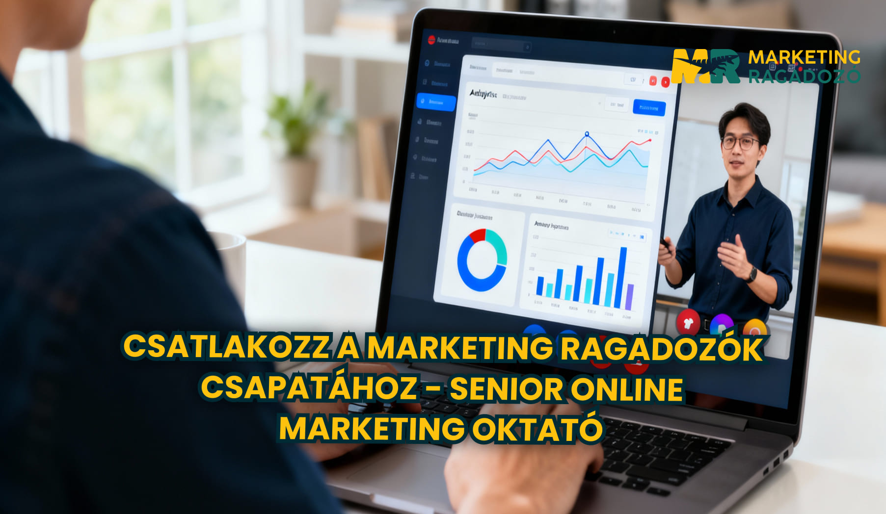 Senior Online Marketing Oktató