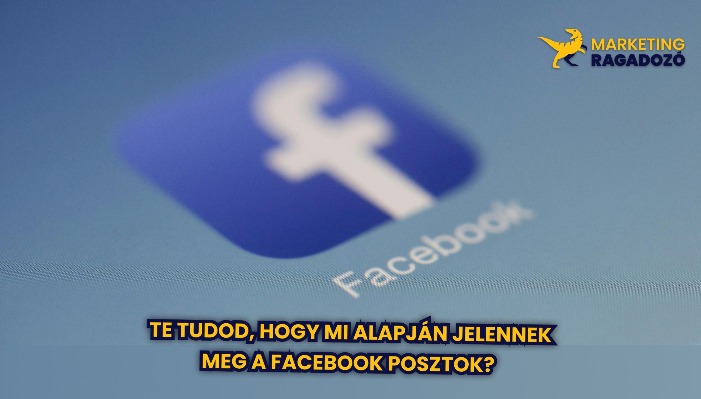 Te tudod, hogy mi alapján jelennek meg a Facebook posztok? 
